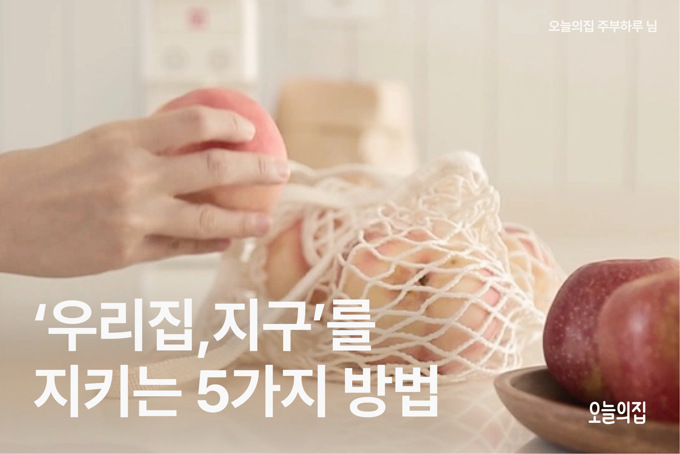 오늘의집에서 만나는 ‘우리집, 지구’를 지키는 5가지 방법