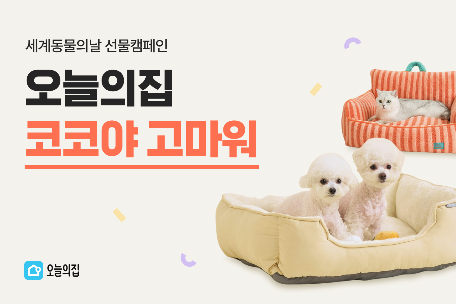 “사랑하는 반려동물을 위한 선물, 오늘의집에서!” 세계 동물의 날 기념 선물캠페인 ‘코코야 고마워’ 진행