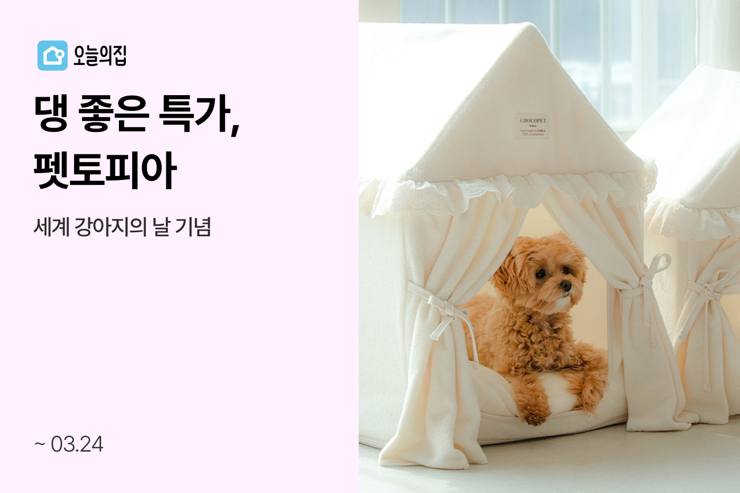 ‘멍냥집사 모두 오늘의집으로 모여라!’ 오늘의집, 세계 강아지의 날 기념 ‘댕 좋은 특가, 펫토피아’ 기획전 실시