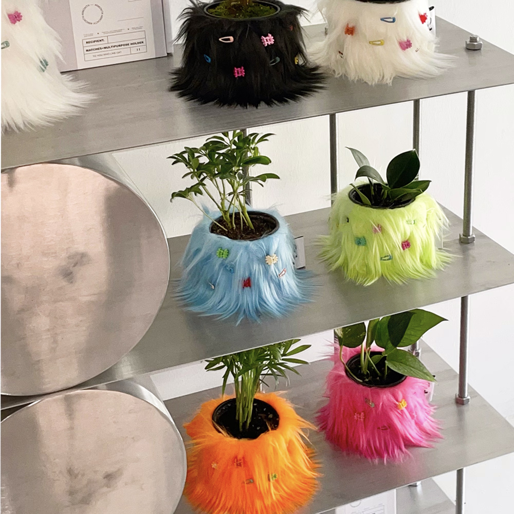 [디지털데일리] [트렌D] 크리에이터 해보고 싶은데, 소재가 충분치 않다면? ‘식집사’ 도전!