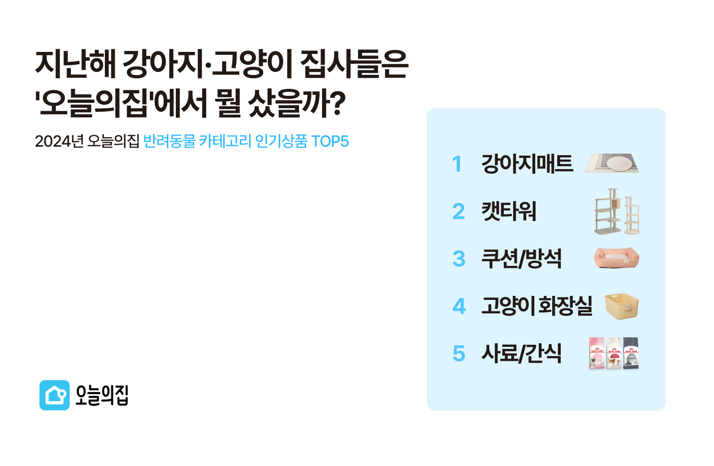 23일은 국제 강아지의 날…강아지·고양이 집사들은 ‘오늘의집’에서 뭘 샀을까?