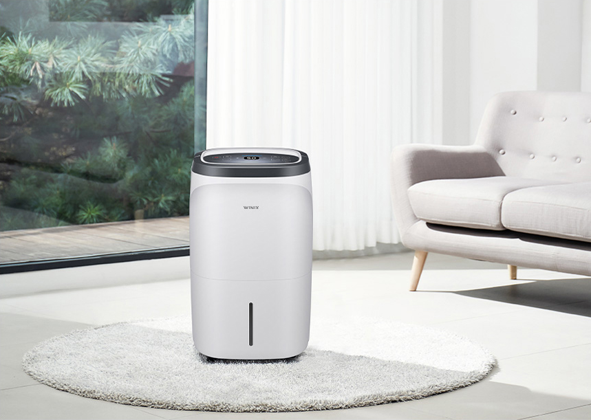 ‘지금은 집집마다 제습기 꺼낼 시간’… 오늘의집서 제습기 판매량 9.6배 증가