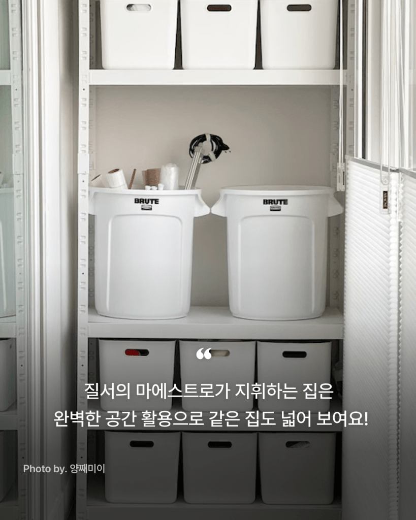 질서의 마에스트로